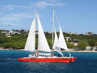 Barbados Catamaran Turtle and Shipwreck Snorkeling Cruise