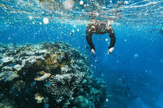 Snorkeling Adventure in La Jolla