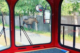 Anchorage Trolley's 1-Hour City Tour