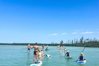 Mangroves & Midnight Pass Beach Kayak Tour