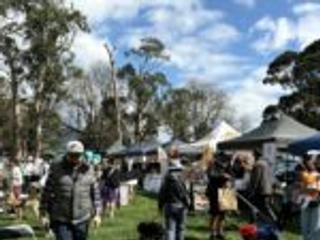Van Diemen Pet Expo