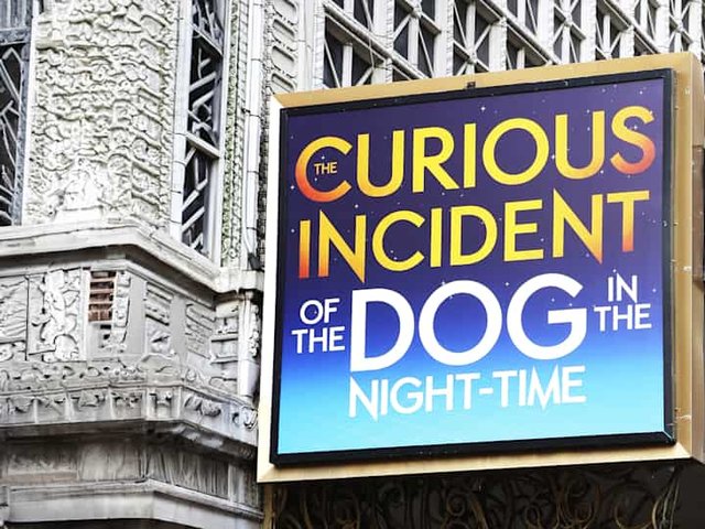 The Curious Incident of the Dog in the Night-Time