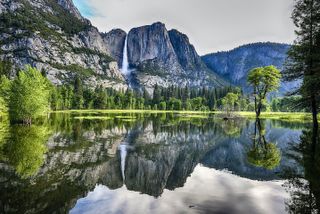 Yosemite and Giant Sequoias Day Tour