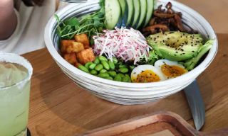 Moxies - Vaughan Colossus