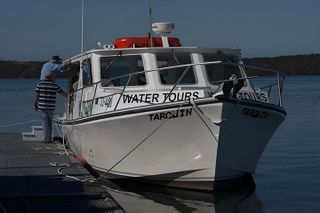 Old Sow Whirlpool and Whale Tours