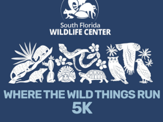 Where the Wild Things Run