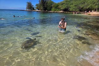 Oahu Small-Group Circle Island Tour with Turtle Snorkeling