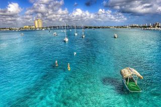 Private Paddle Boarding Activity to Peanut Island