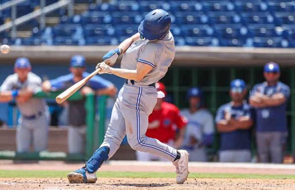 Palm Beach Cardinals at Dunedin Blue Jays