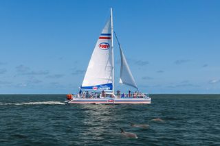 St. Augustine Dolphin Watch and Historical Harbor Tour