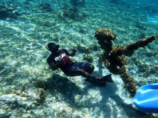 Negril Glass Bottom Boat Tour Snorkeling and Booby Cay