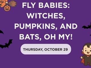 Fly Babies