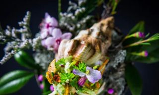 SingleThread Restaurant & Inn