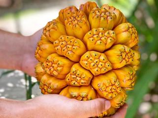 Adventure Day: Fall Harvest Adventures