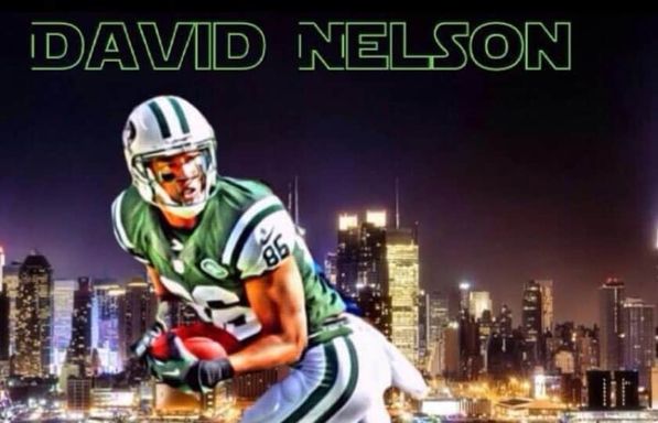 David Nelson Band
