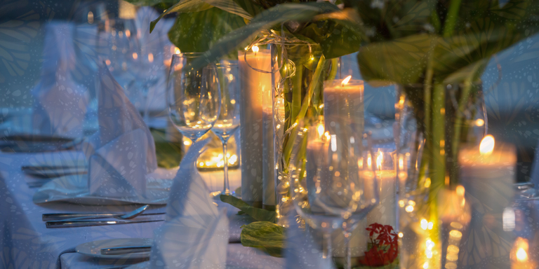 Banfi Wine Dinner