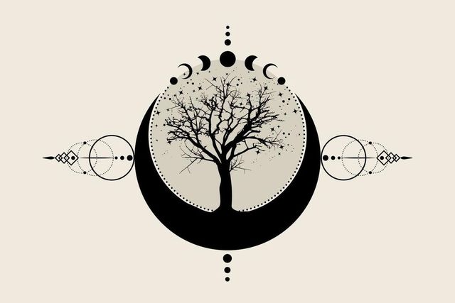 Exploring the Shamans Path
