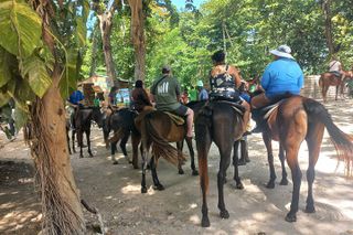Horse Back Riding in Ocho Rios