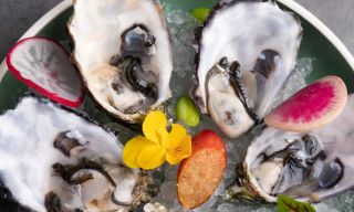 Kamikaze Teppanyaki - Coomera