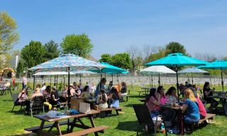 The Bistro at Evansburg Vineyards