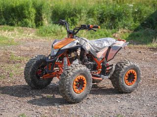 Guided ATV Wilderness Ride in North Gower