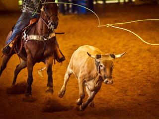 Stockyards Championship Rodeo 8/14