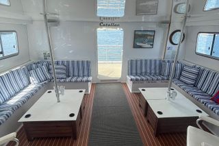 Luxury Whale Watching: Fewer People, Extra Speed, Expert Staff