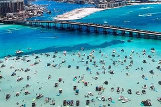 Crab Island & Dolphin Cruise (IN WATER Sandbar Activities!!)