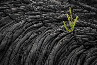 Day Trip from Oahu to Hilo: Active Volcanoes & Helicopter Tour