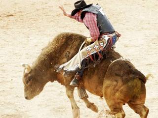 Canby Rodeo