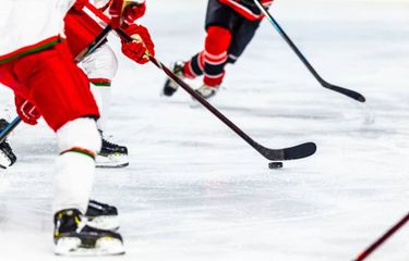 Cornell Big Red at St. Lawrence Saints Men's Hockey