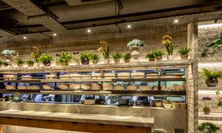 Piccolino - Harrogate