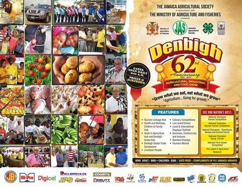 Denbigh Agricultural, Industrial and Food Show