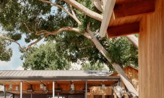 Bar Toti Neighborhood Bistro