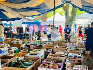 Coconut Grove Organic Farmers Market in Miami