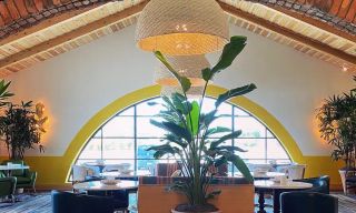 Mexican Sugar - Las Colinas