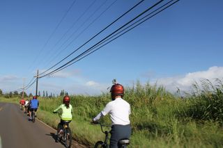 Predawn-Morning Haleakala Bike Tour 6,500 to Sea Level