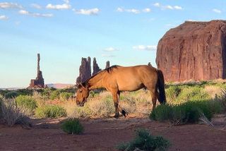 Monument Valley Group Tour - 3 Hours - Navajo Spirit Tours