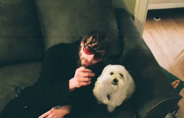 Dog Party