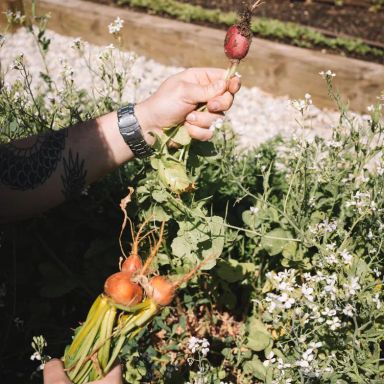 Brown Brothers Restaurant