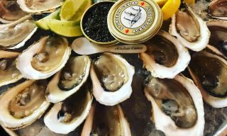 Perla Oyster Bar & Grill