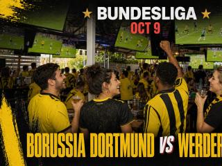 Borussia Dortmund vs Werder Bremen