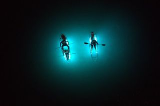 Crystal River Sunset Glow Clear Kayak Manatee Tour Free Photos