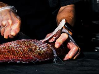 Omakase Dinner at RO Hyde Park