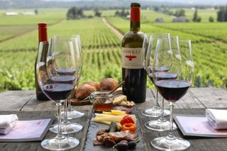 Napa and Sonoma-8-hr Private-Wine Tour from San Francisco XL SUV