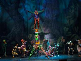 Cirque Dreams Holidaze