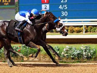 Del Mar Thoroughbred Racing - Saturday