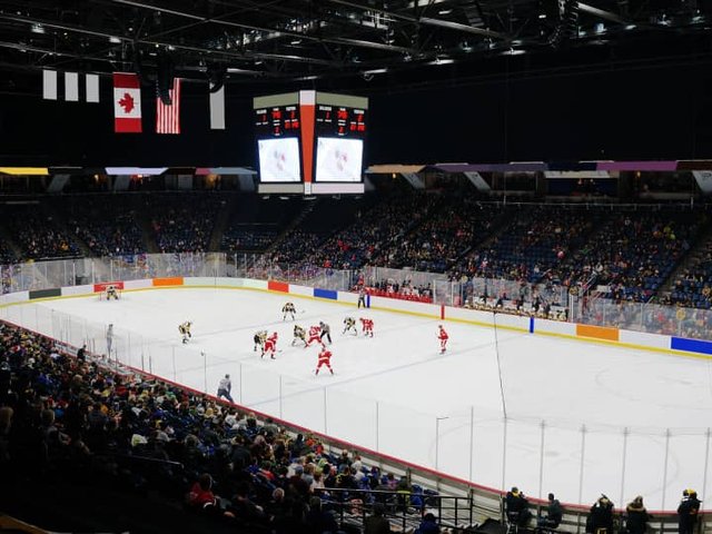 Brampton Steelheads at Brantford Bulldogs