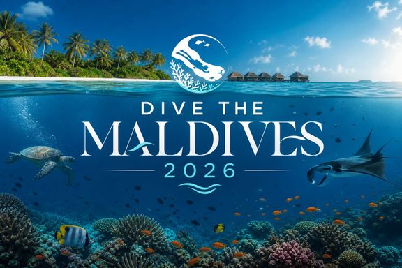 Dive the Maldives 2026