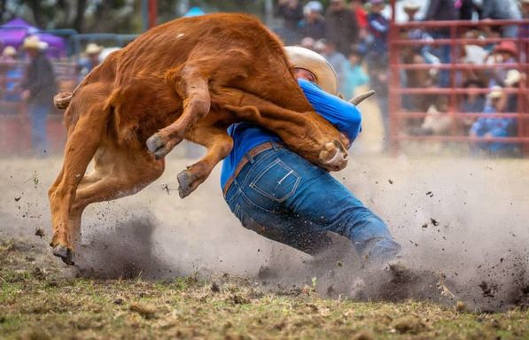 UTE Stampede Rodeo - XTreme Bulls